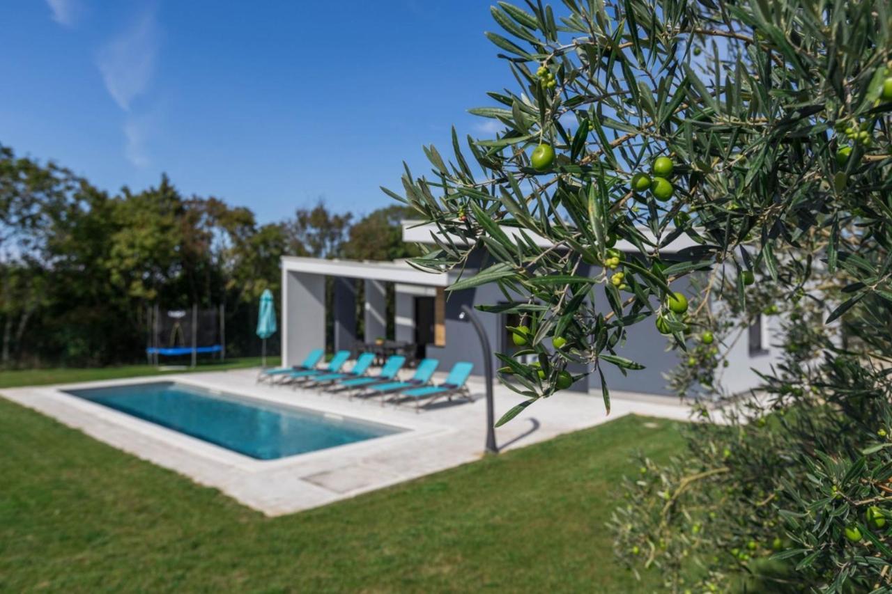 Villa Mariva Žminj Dış mekan fotoğraf